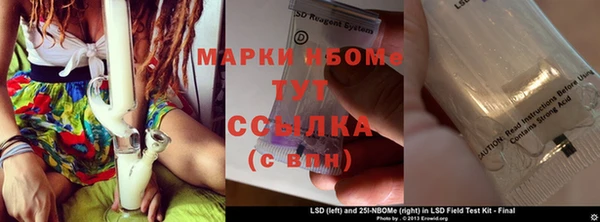 крисы Алзамай