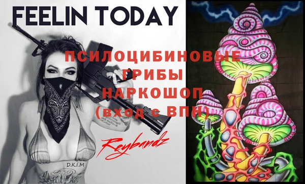 гидра Абаза