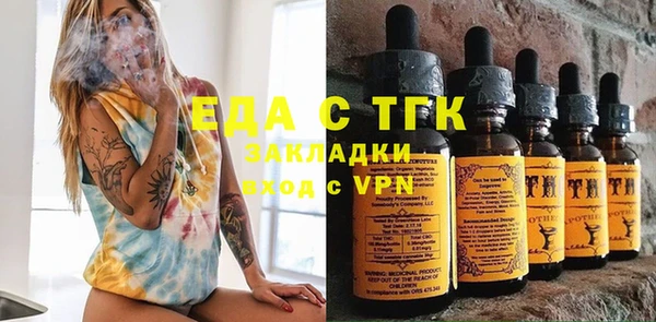 гидра Абаза