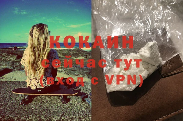 гидра Абаза