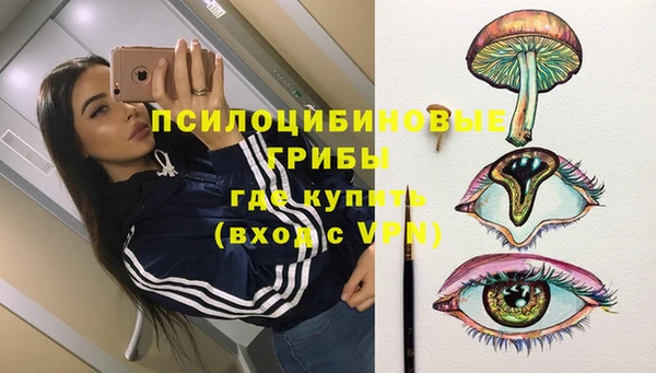 гидра Абаза