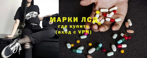 гидра Абаза