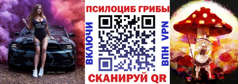 Псилоцибиновые грибы Psilocybine cubensis  где продают   Тюмень 